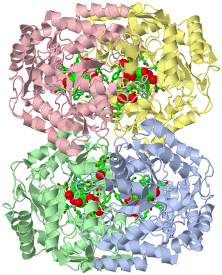 Image Asym./Biol. Unit - sites