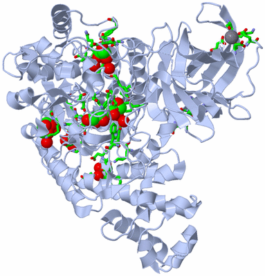 Image Biol. Unit 1 - sites