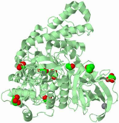 Image Biological Unit 2