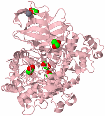 Image Biological Unit 3