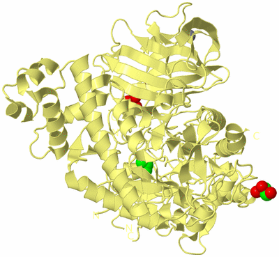 Image Biological Unit 4