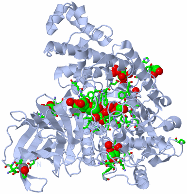 Image Biol. Unit 1 - sites