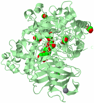 Image Biological Unit 2