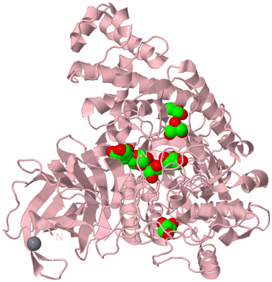 Image Biological Unit 3