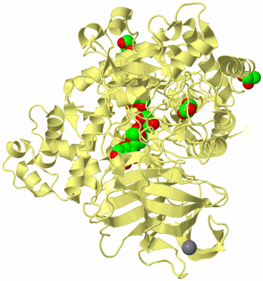 Image Biological Unit 4