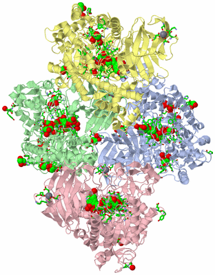 Image Asym. Unit - sites