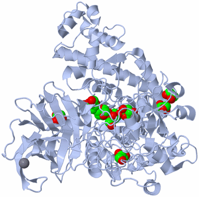 Image Biological Unit 1