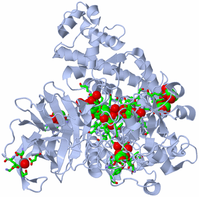 Image Biol. Unit 1 - sites