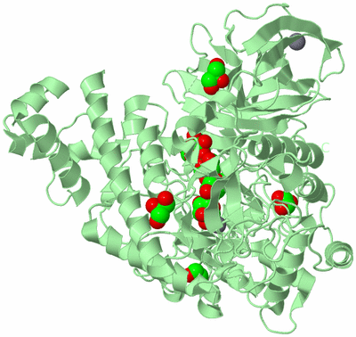 Image Biological Unit 2