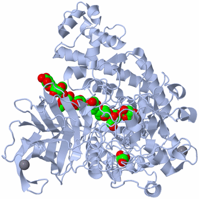 Image Biological Unit 1