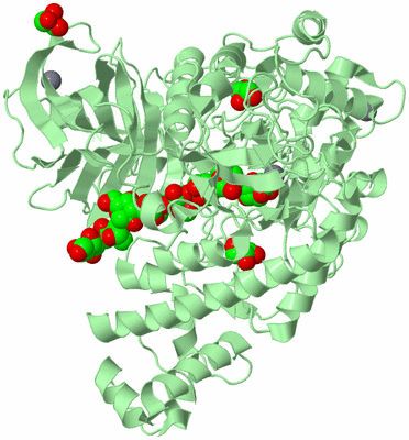 Image Biological Unit 2