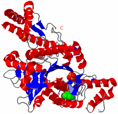 Image Asym./Biol. Unit