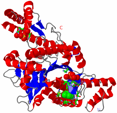 Image Asym./Biol. Unit - sites