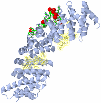 Image Biol. Unit 1 - sites