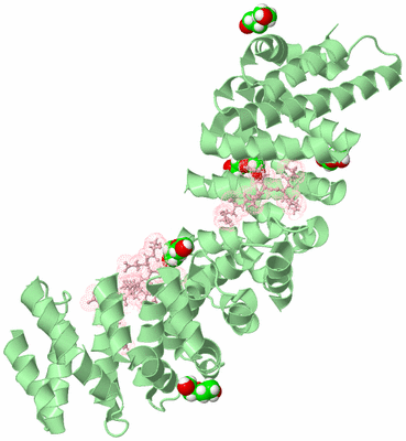 Image Biological Unit 2