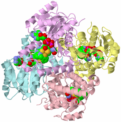 Image Biological Unit 2