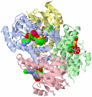 Image Asym./Biol. Unit