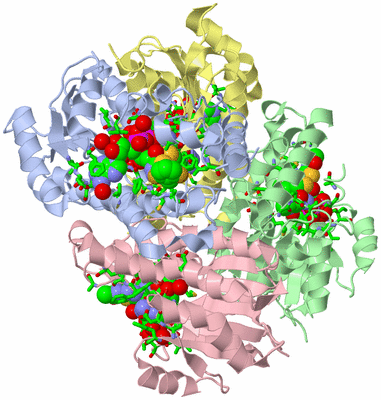 Image Asym./Biol. Unit - sites