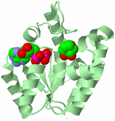 Image Biological Unit 2