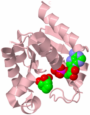 Image Biological Unit 3