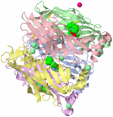 Image Asym./Biol. Unit