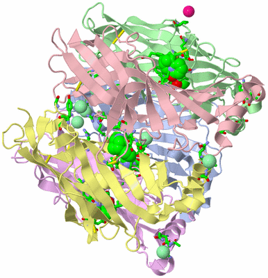 Image Asym./Biol. Unit - sites