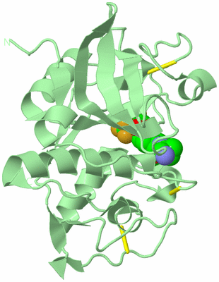 Image Biological Unit 2