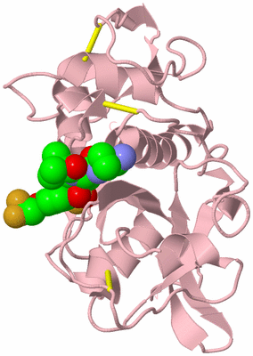 Image Biological Unit 3