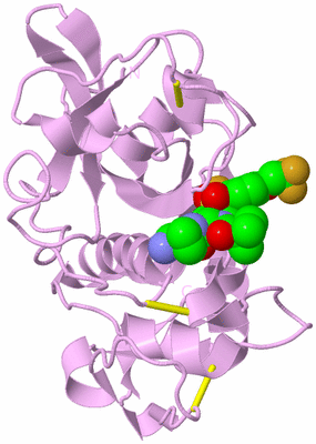 Image Biological Unit 5