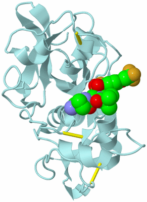 Image Biological Unit 6