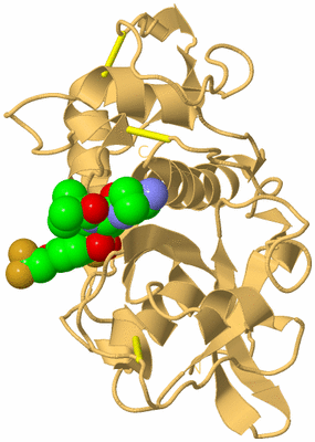 Image Biological Unit 7