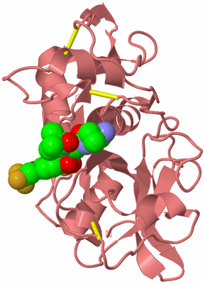 Image Biological Unit 8