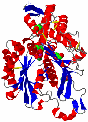 Image Asym./Biol. Unit