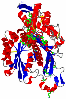 Image Asym./Biol. Unit - sites