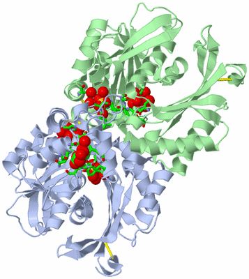 Image Asym./Biol. Unit - sites