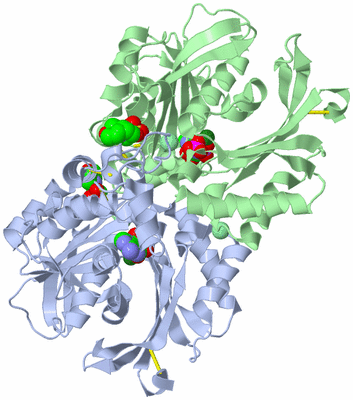 Image Asym./Biol. Unit