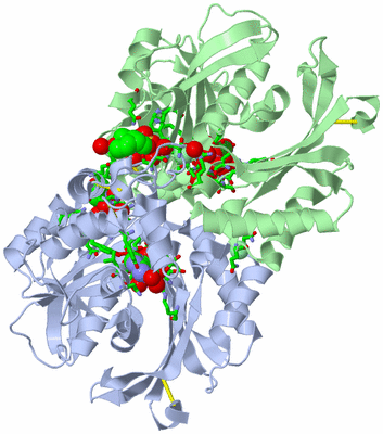 Image Asym./Biol. Unit - sites