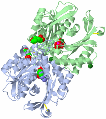 Image Asym./Biol. Unit