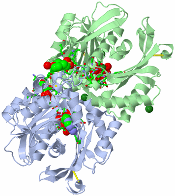 Image Asym./Biol. Unit - sites