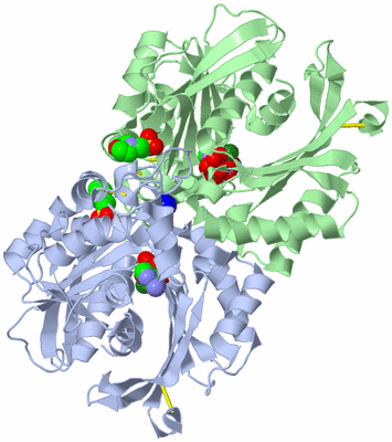 Image Asym./Biol. Unit