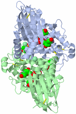 Image Asym./Biol. Unit