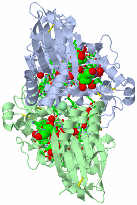 Image Asym./Biol. Unit - sites