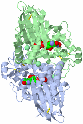 Image Asym./Biol. Unit