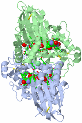 Image Asym./Biol. Unit - sites