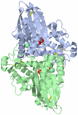 Image Asym./Biol. Unit