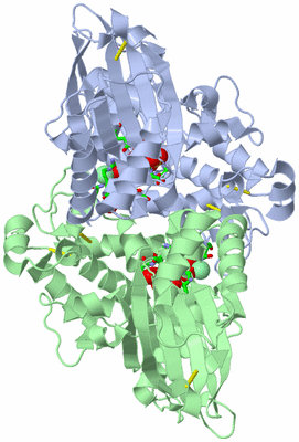 Image Asym./Biol. Unit - sites