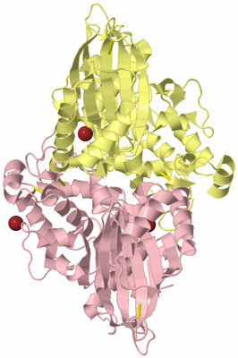 Image Biological Unit 1