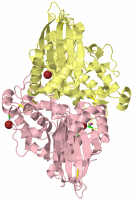 Image Biol. Unit 1 - sites