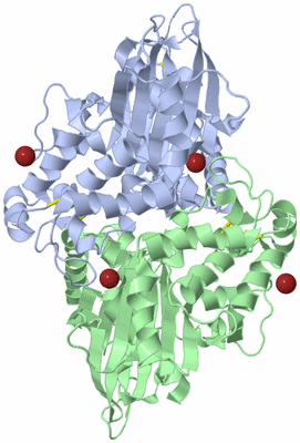 Image Biological Unit 2