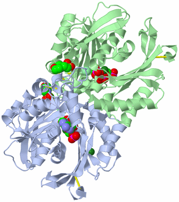 Image Asym./Biol. Unit